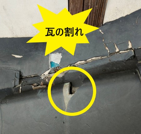 瓦の割れ　雨漏り調査